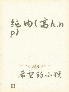 纯肉(高h.np)