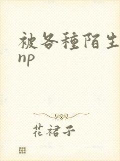 被各种陌生人 np