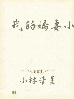我的娇妻小说