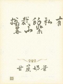 总裁的私有宝贝 暮山紫