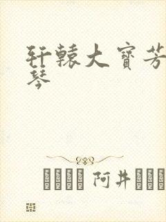 轩辕大宝芳菲雅琴
