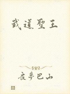 武道圣王