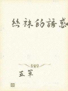 丝袜的诱惑小说