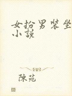 女扮男装坐江山小说