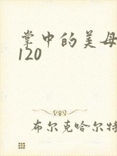 掌中的美母版主120