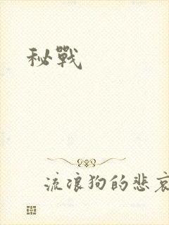 秘战