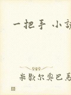 一把手 小说