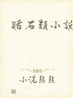 赌石类小说