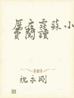 厉夜霆苏小汐免费阅读