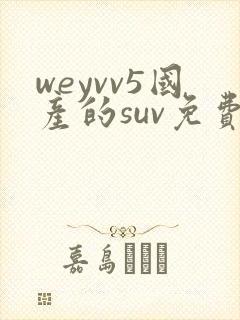 weyvv5国产的suv免费
