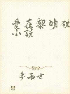 爱在黎明破晓前小说