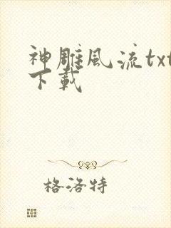神雕风流txt下载