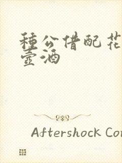 种公借配花间一壶酒