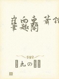 崔向东 萧错 笔趣阁