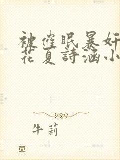 被催眠暴奸的校花夏诗涵小说