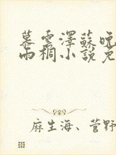 慕云泽苏晚晴夏雨桐小说免费阅读