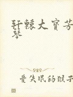 轩辕大宝芳菲雅琴
