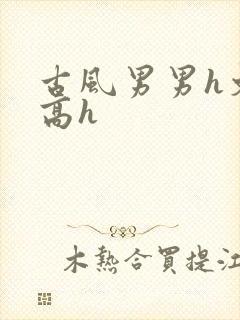 古风男男h文肉高h