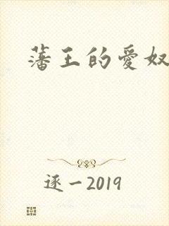 藩王的爱奴