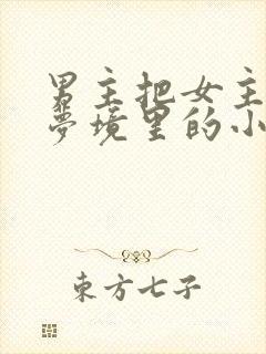 男主把女主拖进梦境里的小说