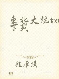东北大炕txt下载