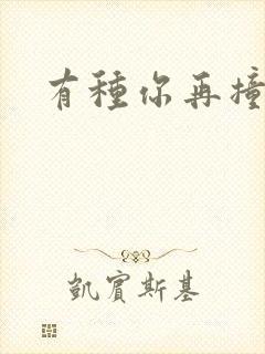 有种你再撞一下