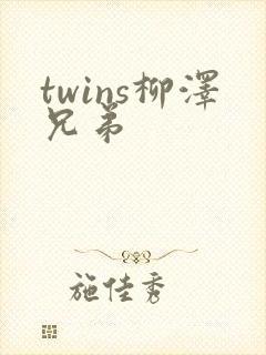 twins柳泽兄弟