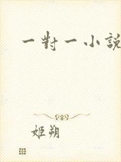 一对一小说封面