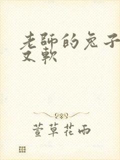 老师的兔子又大又软