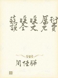 苏暖暖厉衍琛小说全文免费阅读