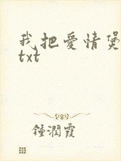我把爱情煲成汤txt