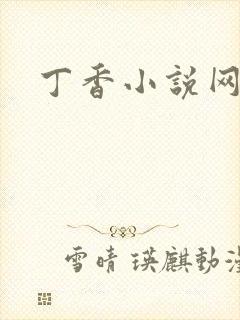 丁香小说网