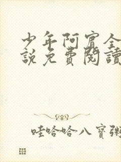 少年阿宾全文小说免费阅读笔趣阁