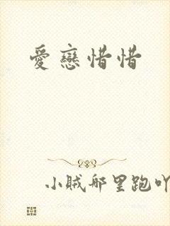 爱恋惜惜