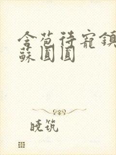 含苞待宠镇国公苏圆圆