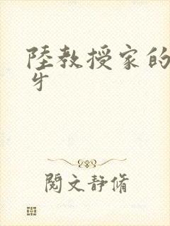 陆教授家的小月牙