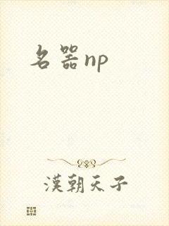 名器np