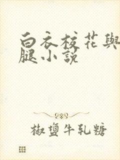 白衣校花与大长腿小说