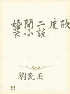 婚开二度欣欣向荣小说