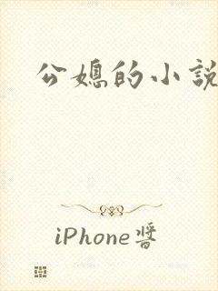 公媳的小说