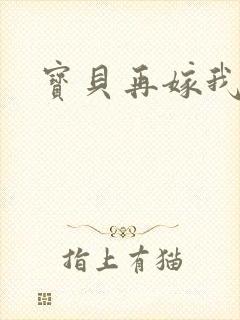 宝贝再嫁我一次
