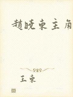 赵晓东主角小说