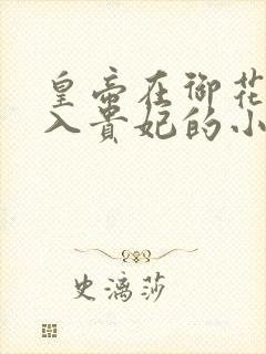 皇帝在御花园进入贵妃的小说