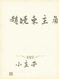 赵晓东主角小说