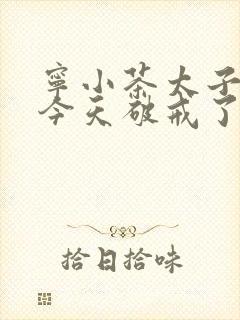 宁小茶太子殿下今天破戒了吗免费阅读