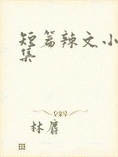 短篇辣文小说合集