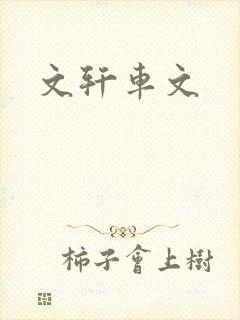 文轩车文