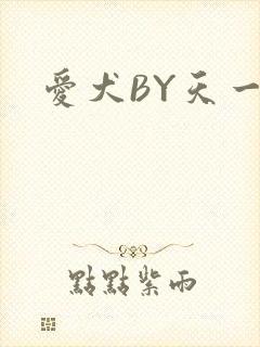 爱犬BY天一