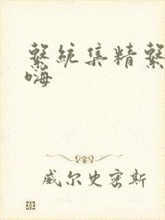 系统集精系统高嗨