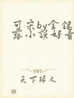 可宋by金银花露小说好看吗